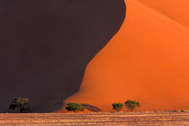 Sossusvlei Dunes by Danita Delimont