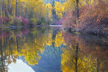 With reflected autumn color by Danita Delimont