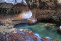 The Subway along the Left Fork of the Virgin River in Zion National Park in Utah in autumn by Danita Delimont