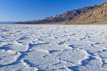 Salt Formations at Badwater by Danita Delimont