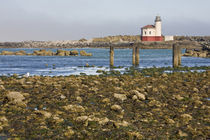 Last lighthouse built on the Oregon Coast by Danita Delimont