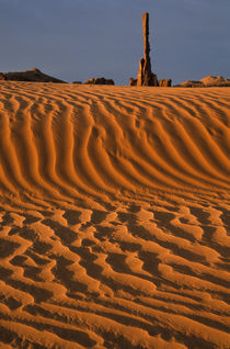 Sand dunes at Totem Pole by Danita Delimont
