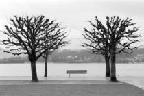Lake Lucerne von Danita Delimont