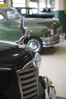 1940s Packard Hood Ornament von Danita Delimont
