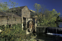 The Historic Old Mill by Danita Delimont