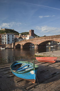 Town view along Temo River and Ponte Vecchio bridge by Danita Delimont