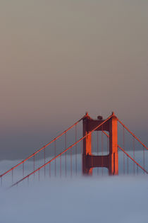 Pictured is the top of the Golden Gate Bridge's south tower sticking out of the fog at sunset von Danita Delimont