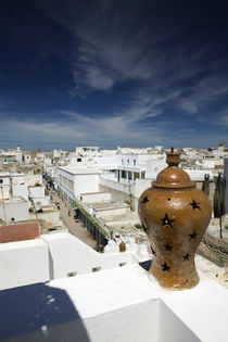 ESSAOUIRA: High Vantage View of Central Essaouira by Danita Delimont