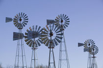 Lubbock: American Wind Power Center Historic Windmills by Danita Delimont