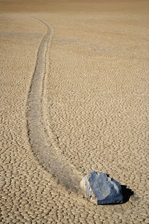 Close-up of a mysterious sliding rock at the Racetrack by Danita Delimont