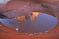 Rock formations reflected in rain puddle on Park Avenue Trail by Danita Delimont