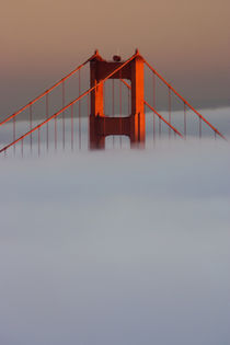 Pictured is the top of the Golden Gate Bridge's south tower sticking out of the fog at sunset von Danita Delimont