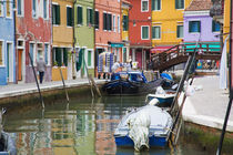 Colorful Burano City homes Reflecting in the Canal by Danita Delimont