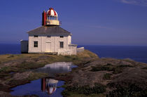 Old Cape Spear Lighthouse von Danita Delimont