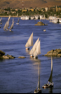 Feluccas sailing on the Nile River von Danita Delimont
