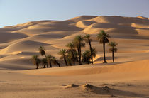 Ubari sand dunes by Danita Delimont
