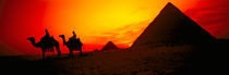 Egypt at sunset von Danita Delimont
