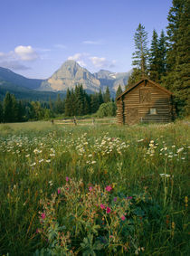 Old Park Service cabin in the Cut Bank Valley of Glacier National Park in Montana by Danita Delimont