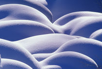 Snowscape von Danita Delimont