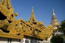 Largest in Burma by Danita Delimont