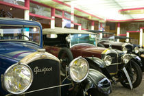 Peugeot Cars of the 1930's by Danita Delimont