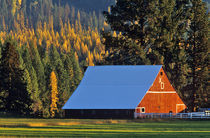 A Farmed red barn built in 1911 near Troy Montana Jim Winslow Ranch by Danita Delimont