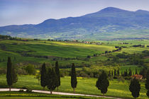 Scenic of the Tuscan countryside by Danita Delimont