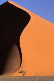 Namibian dunes by Danita Delimont