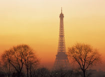 Eiffel Tower (Medium Format) by Danita Delimont