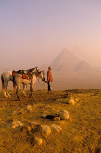 Giza pyramids at dawn with horses and guide von Danita Delimont