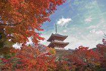 Pagoda in Autumn colour by Danita Delimont