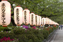 Paper lanterns along road leading to Tsurugaoka Hachimangu shrine by Danita Delimont