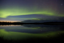 The northern lights reflect in a pond by Danita Delimont