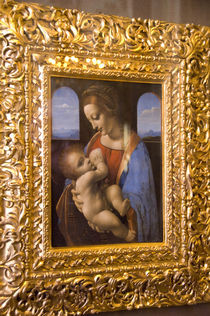 1490-1491 by Danita Delimont