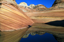 Unique Formations of Navajo Sandstone and Chinle Shale and Rain Pool Reflections von Danita Delimont