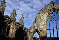 Ruined Abbey at Holyroodhouse Palace von Danita Delimont