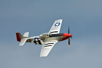 P-51D Mustang Fighter with D-Day markings flying in the sky von Danita Delimont