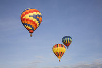 Hot air balloons in flight by Danita Delimont