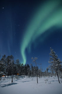 The Aurora borealis von Danita Delimont