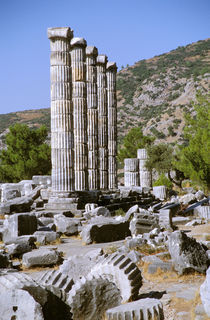 Temple of Artemis by Danita Delimont