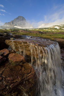 The Hanging Gardens at Logan Pass in Glacier National Park in Montana by Danita Delimont