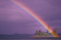 Intense rainbow by Danita Delimont