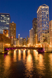 Skyline and Chicago River at Night von Danita Delimont