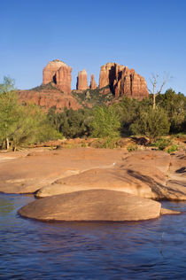 Cathedral Rocks at Red Rock Crossing in Sedona by Danita Delimont