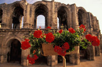 Roman amphitheater (arenes); view with flowers by Danita Delimont