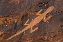 Prehistoric petroglyph rock art at Dinosaur National Monument by Danita Delimont