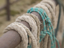 Arizona: Ropes and hanrnesses used on horse drawn wagons von Danita Delimont