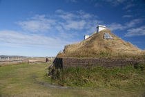 Replica of Viking longhouse using sod construction by Danita Delimont