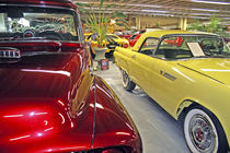 Vintage cars in Tallahassee Automobile Museum Florida by Danita Delimont