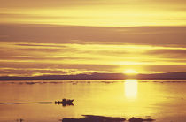 Baffin Island Sunset near Cape Dorset by Danita Delimont